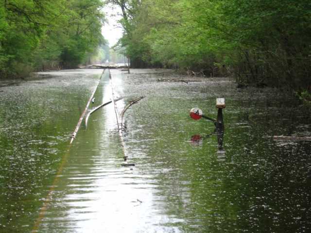 Nagyrezét kitérő. 2006. 04. 27.